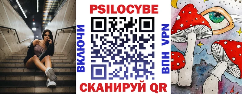 наркошоп  Ливны  Галлюциногенные грибы Psilocybine cubensis 